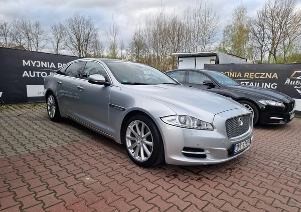 Jaguar XJ cena 62000 przebieg: 224000, rok produkcji 2011 z Mirosławiec małe 407